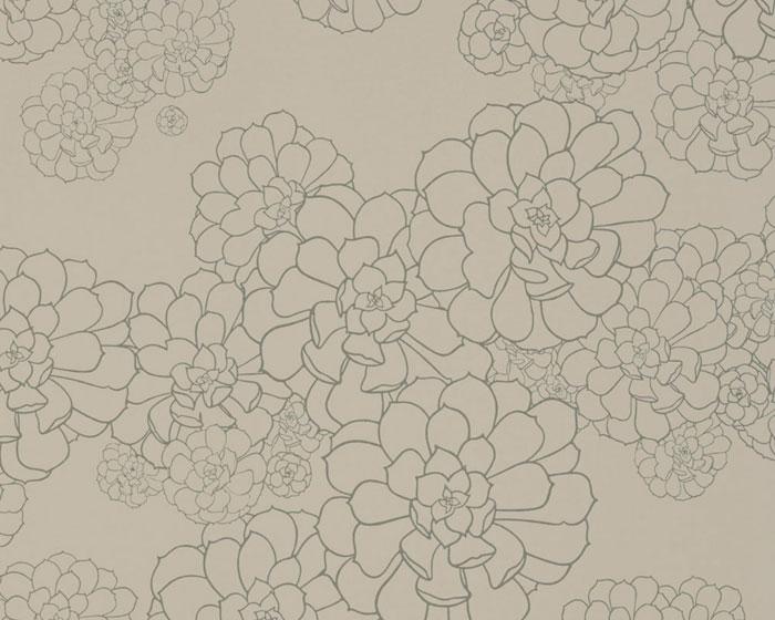 Paint & Paper Library - Aeonium Cotton