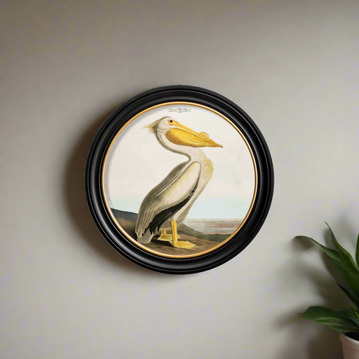 Wildlife Wall Art, Pelican, Round Black Frame, 70 cm