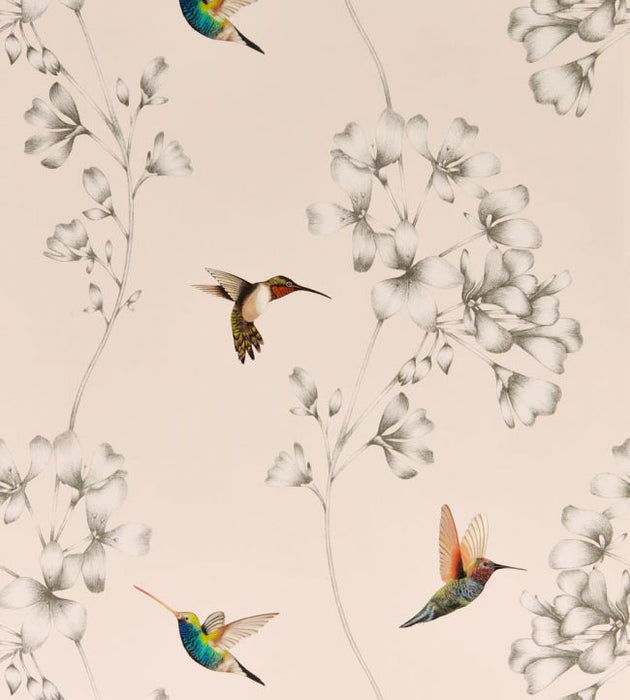Amazilia Wallpaper by Harlequin