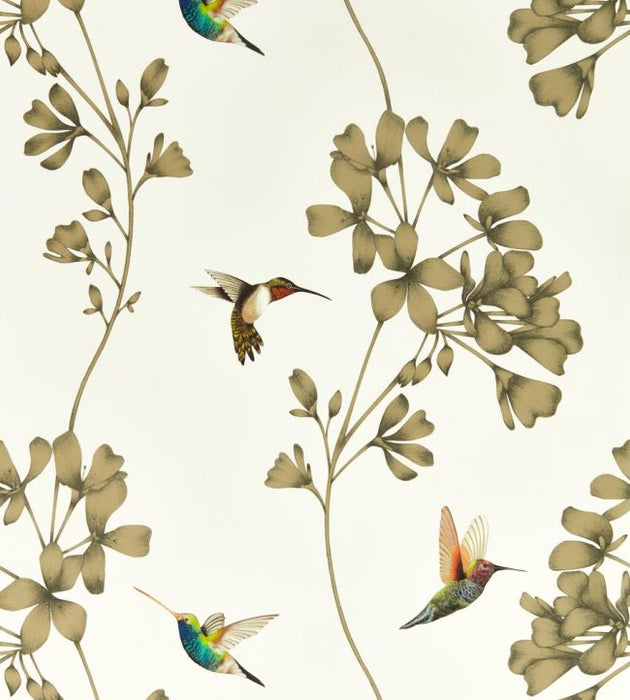 Amazilia Wallpaper by Harlequin