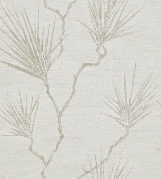 Anthology Peninsula Palm Wallpaper by Harlequin
