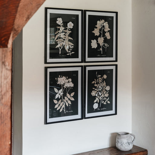 Albion Wall Art, Black Fir Wood, Set Of 4, Framed, Midnight Botanical 