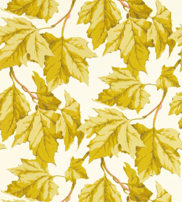 Dappled Leaf Wallpaper by Harlequin