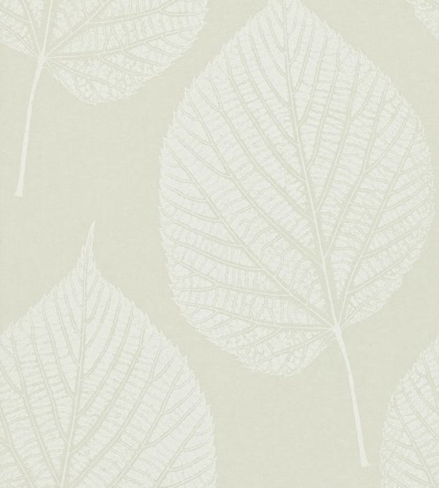 Leaf Wallpaper by Harlequin