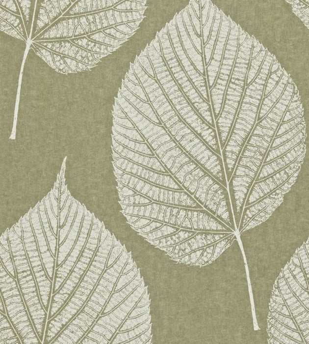 Leaf Wallpaper by Harlequin