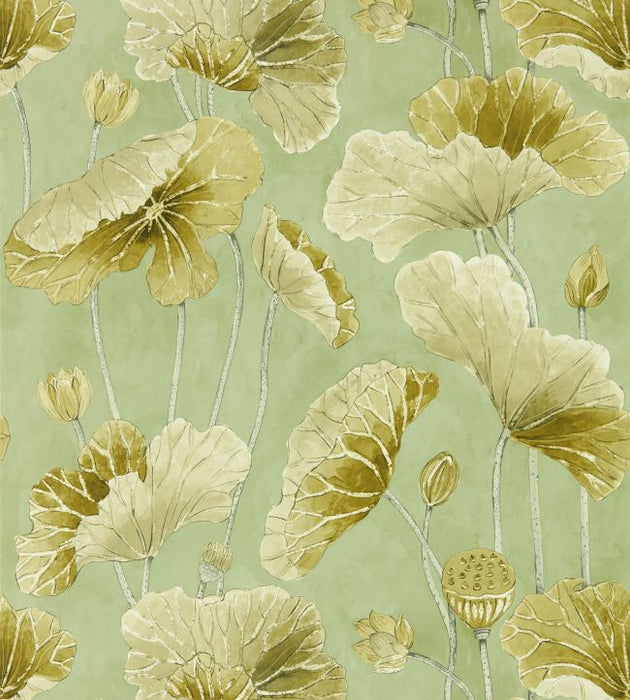 Lotus Leaf Wallpaper by Sanderson
