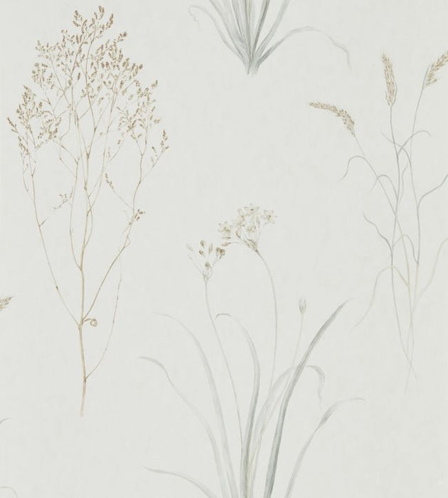 Farne Grasses Wallpaper by Sanderson