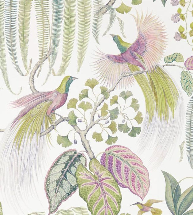 Bird Of Paradise Wallpaper by Sanderson