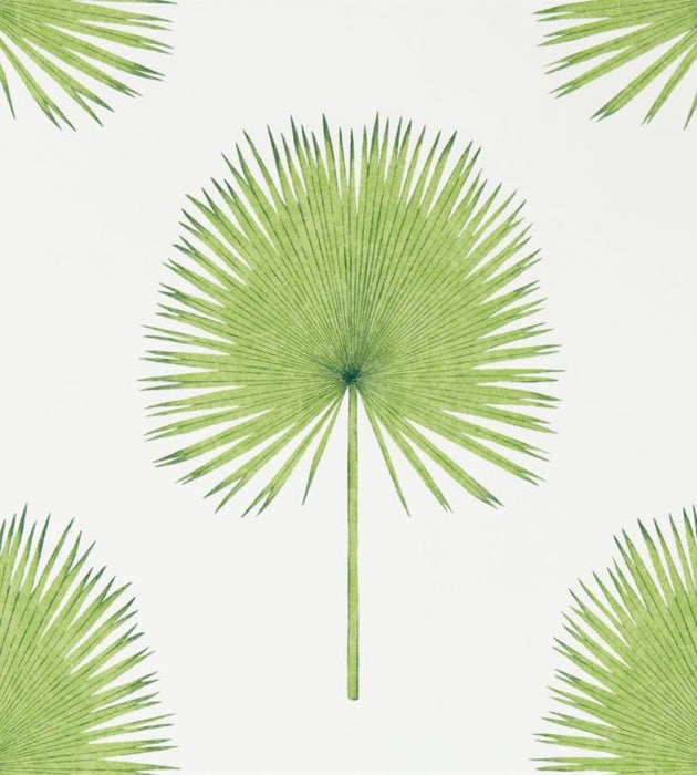 Fan Palm Wallpaper by Sanderson