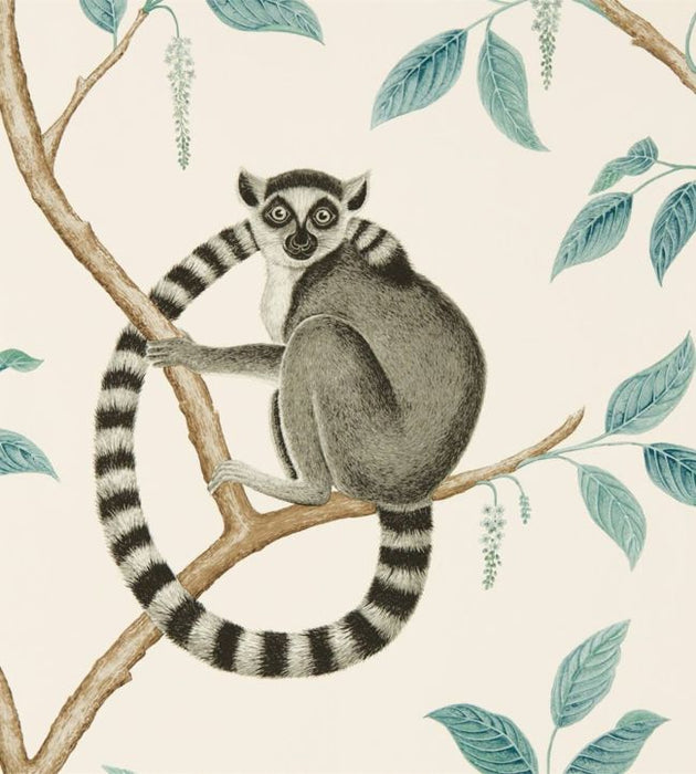 Ringtailed Lemur Wallpaper by Sanderson