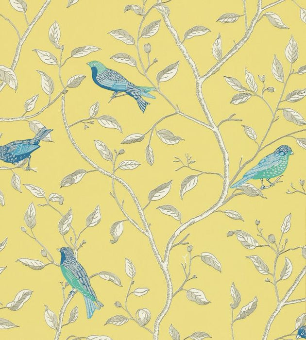 Finches Wallpaper by Sanderson