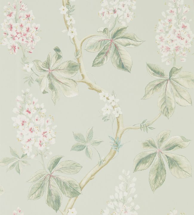 Sanderson Wallpaper Collection - Woodland