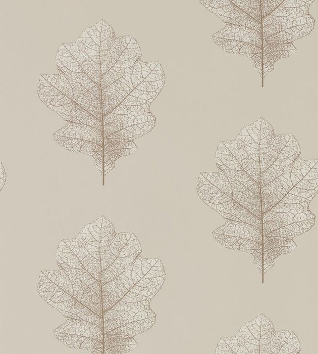 Oak Filigree Wallpaper by Sanderson