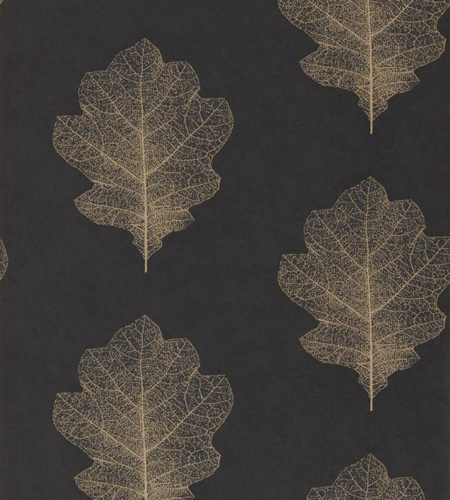 Oak Filigree Wallpaper by Sanderson