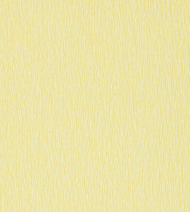 Bark by Scion Wallpaper - 2 Colours Available