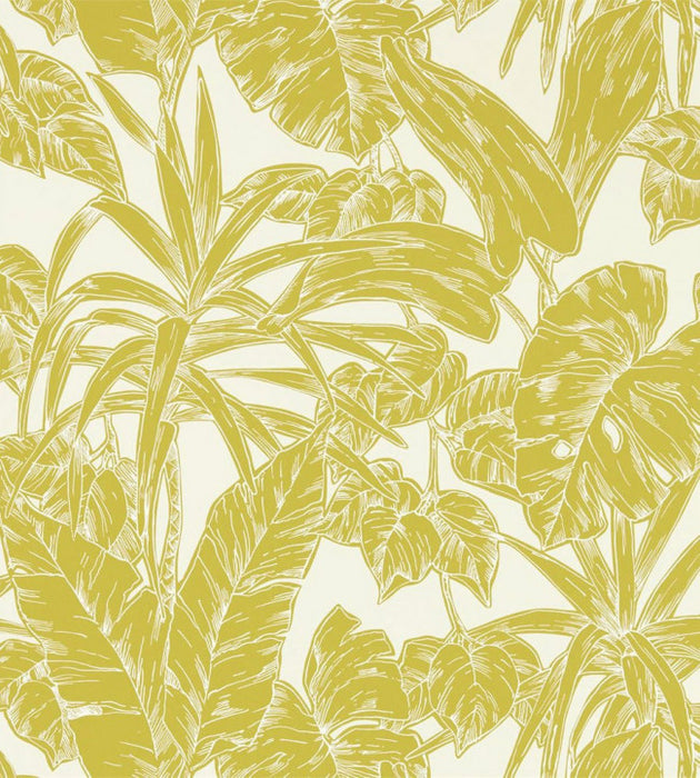 Parlour Palm by Scion Wallpaper - 5 Colours Available