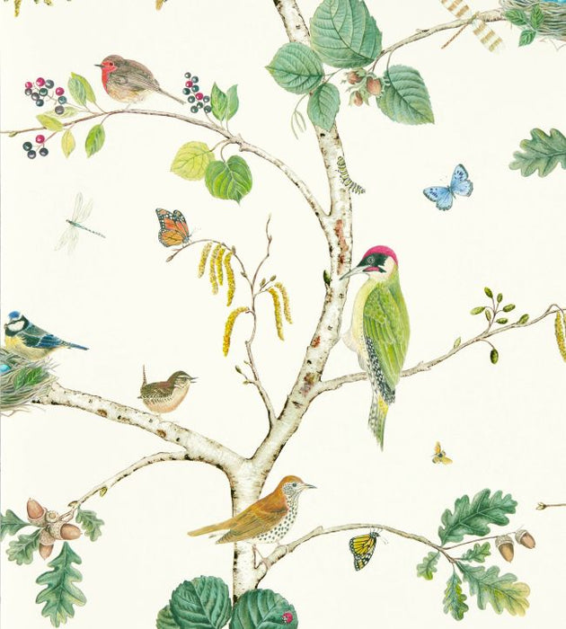 Woodland Chorus Wallpaper by Sanderson