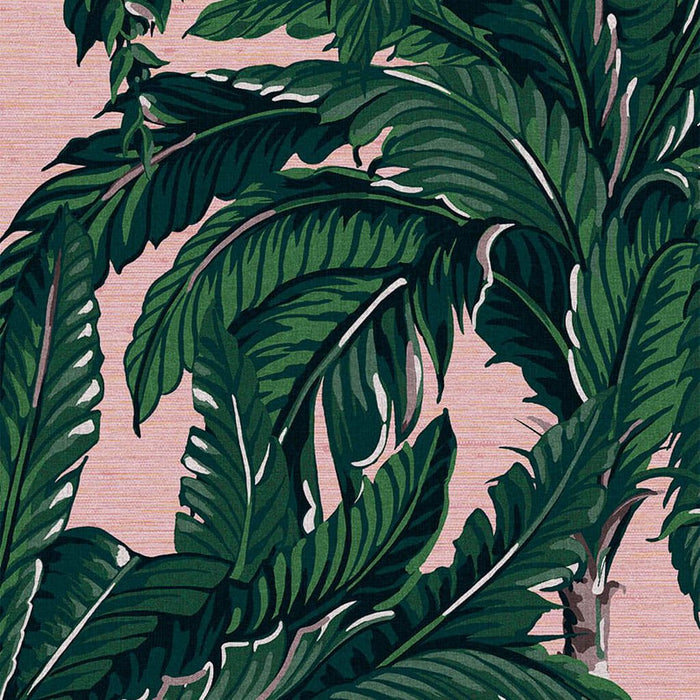 Graham & Brown Daintree Palm Blush Wallpaper