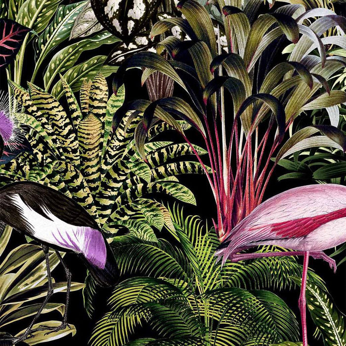 Graham & Brown Midnight Tropic Wallpaper