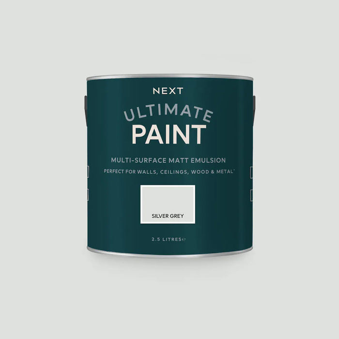 Next Paint - Silver Grey
