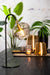 Alina Smoked Glass & Matt Black Metal Table Lamp - Decor Interiors -  House & Home