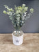 Rustic Flower Stem Vase, Clear Glass, White, rattan 