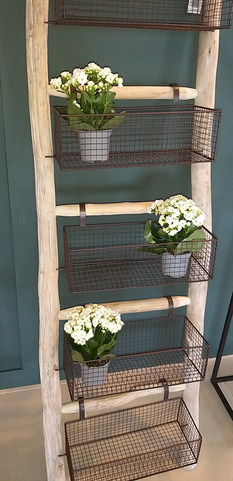 Rustic Ladders with 5 Wire Baskets - Decor Interiors -  House & Home
