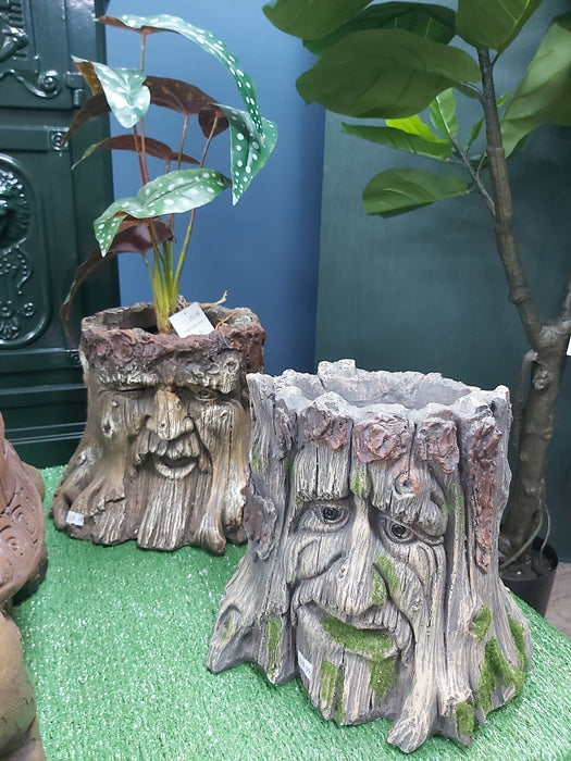 'Zeus' Face Tree Stump Planter - Outdoor - Decor Interiors -  House & Home