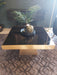 Monarch Coffee Table, Antique Gold, Stainless Steel Frame, Black Glass 