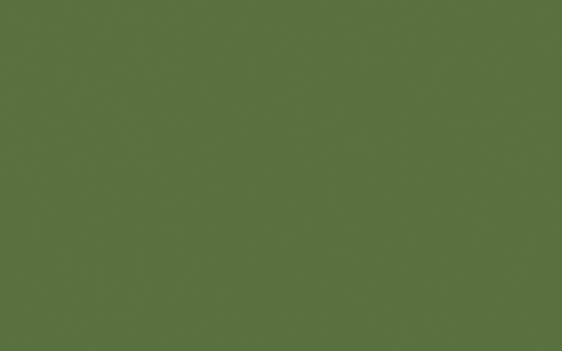 Little Greene Paint - Hopper (297)