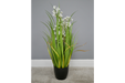 Decor Interiors - Artificial Grass With White Flowers - Decor Interiors -  House & Home