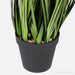 Potted Faux Grass - 61cms - Decor Interiors -  House & Home