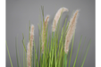 Artificial Foxtail Grass - Decor Interiors -  House & Home