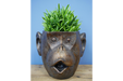 Bronzed Monkey Head Planter 1 - Decor Interiors -  House & Home