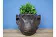 Bronzed Monkey Head Planter 2 - Decor Interiors -  House & Home