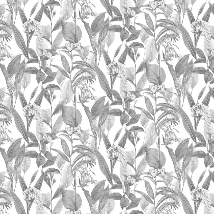 Graham & Brown Botanical Shadow Wallpaper