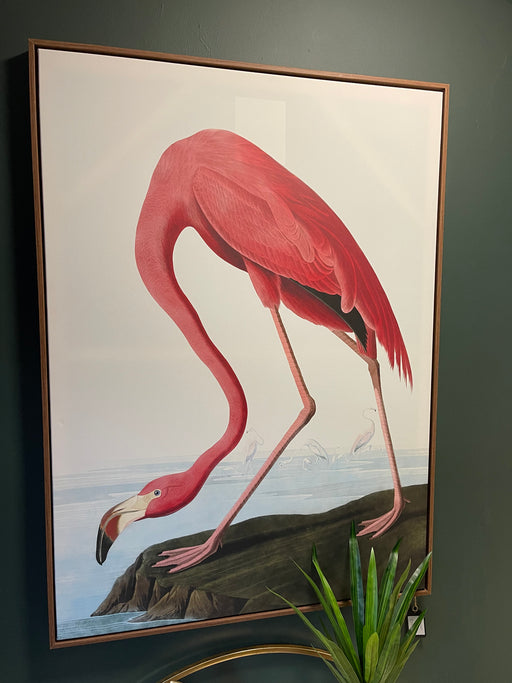 Framed Picture - American Pink Flamingo - 113 X 83 cms - Decor Interiors -  House & Home