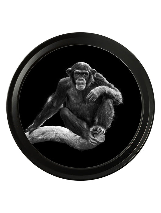 Round Framed Black & White Wildlife Wall Art - Chimpanzee - 44 cm