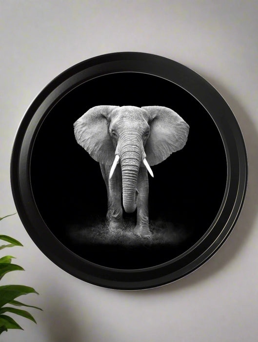 Round Framed Black & White Wildlife Wall Art - African Elephant - 44 cm
