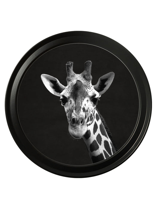 Round Framed Wildlife Photography - Giraffe - 44 cm