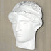 Greek Goddess Head Wall Hanging Sculpture in White - Decor Interiors -  House & Home