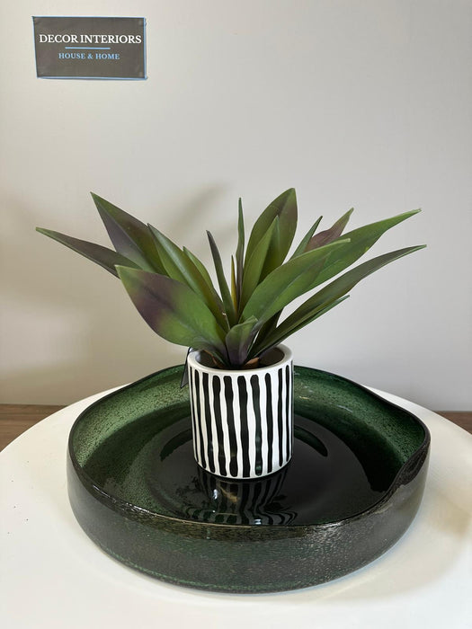 Artificial Fiori Agave Black & White Striped Ceramic Pot