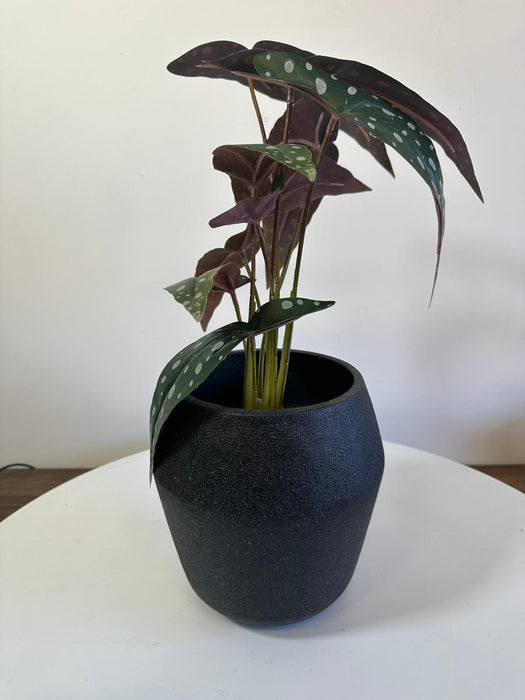 Granito Black Cement Plant Pot - 14cm