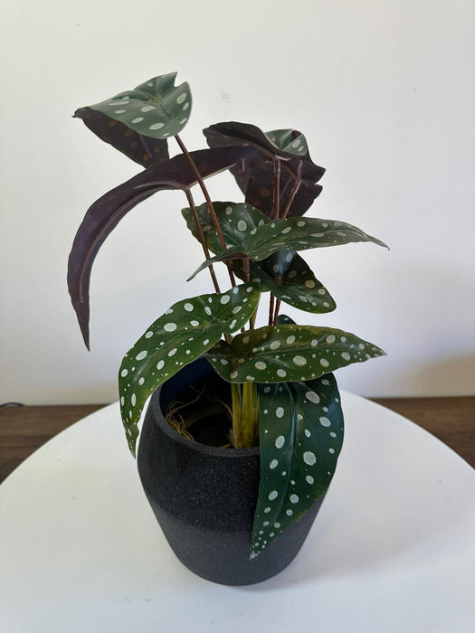 Faux Potted Philo Leaf Plant