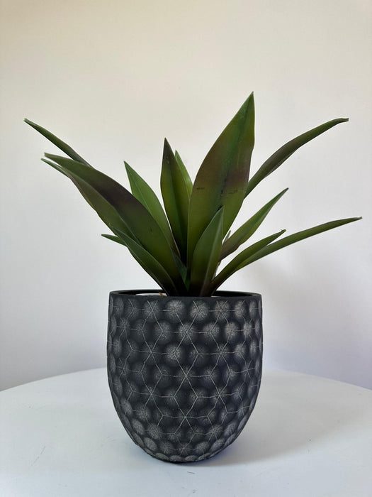 Black Dandelion Ceramic Plant Pot - 16 cm