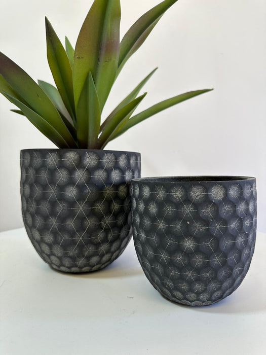 Black Dandelion Ceramic Plant Pot - 16 cm