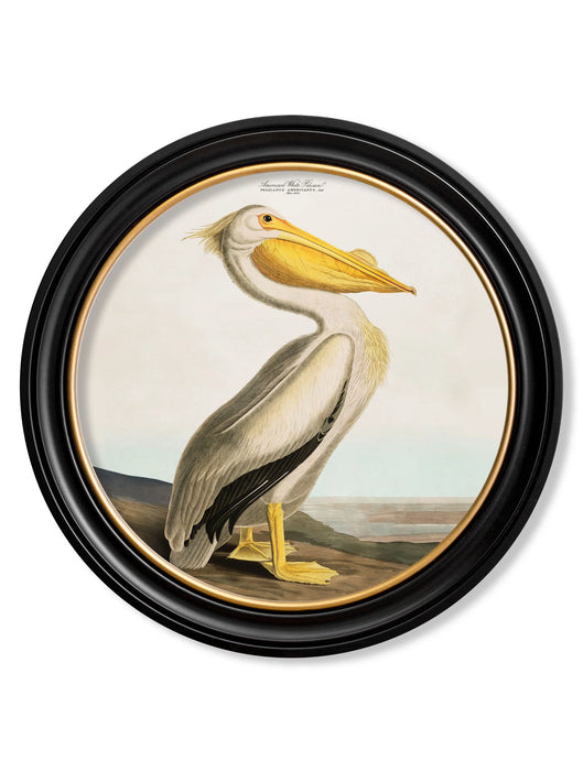 Round Framed Pelican Picture - 44 cm