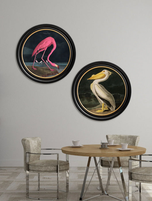 Round Framed Wildlife Wall Art - Vintage Pelican - 96 cm