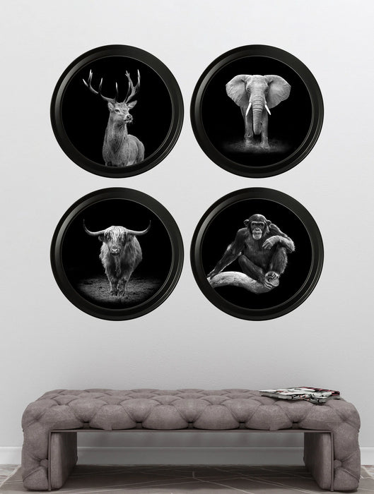 Round Framed Black & White Wildlife Wall Art - Red Deer - 44 cm