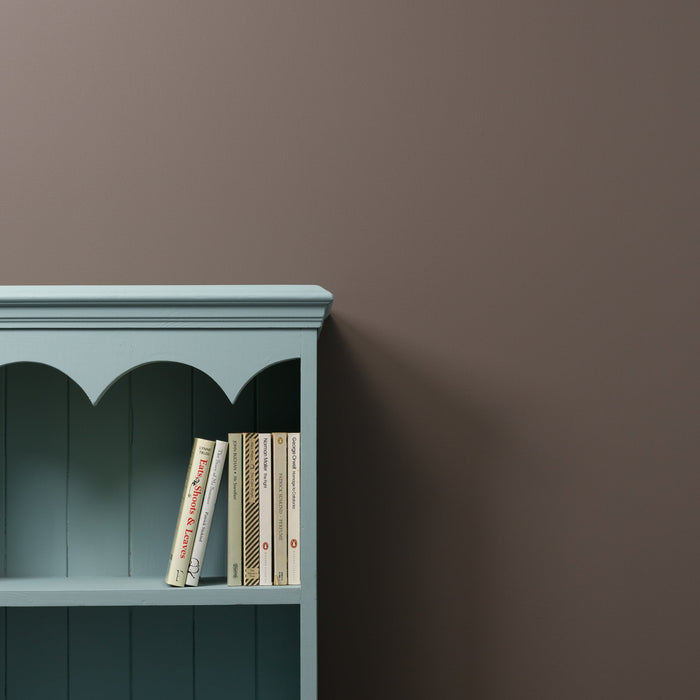 Frenchic Chalk Wall Paint Samples - Donkey Derby